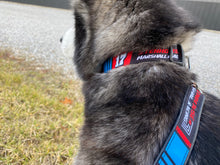 17 Dog Leashes/ Keychains