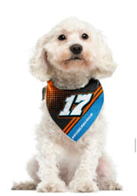 Dog Bandana