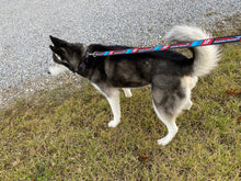 17 Dog Leashes/ Keychains