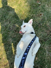 HR Dog Collars/ Leashes /Keychains