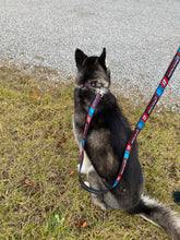 17 Dog Leashes/ Keychains