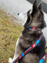 17 Dog Leashes/ Keychains
