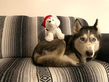 Winter Pella Stuffed Animal