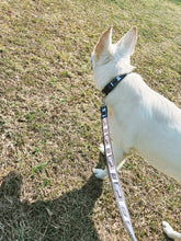 HR Dog Collars/ Leashes /Keychains