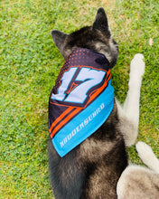 Dog Bandana