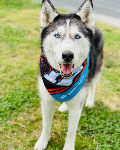 Dog Bandana